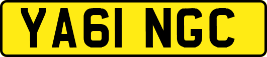 YA61NGC