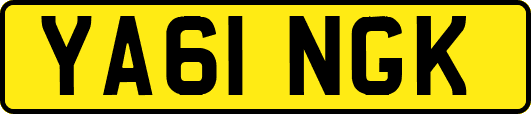 YA61NGK