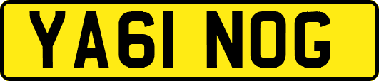 YA61NOG
