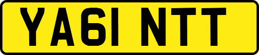 YA61NTT