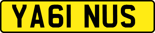 YA61NUS