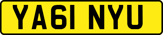 YA61NYU