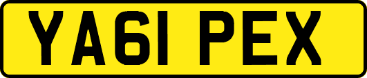 YA61PEX