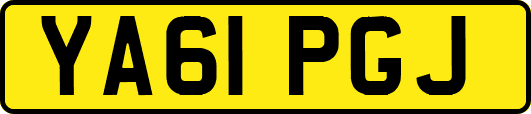 YA61PGJ