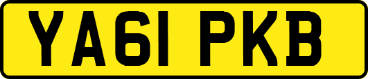 YA61PKB