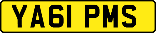 YA61PMS