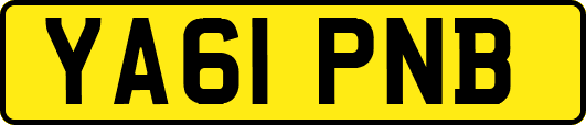 YA61PNB