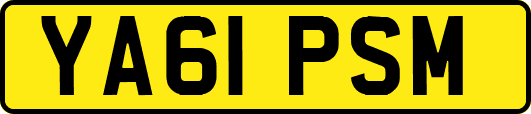 YA61PSM
