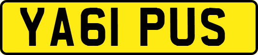 YA61PUS