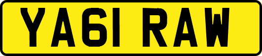 YA61RAW