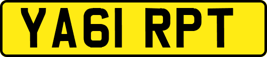 YA61RPT
