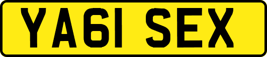 YA61SEX