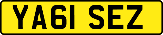 YA61SEZ