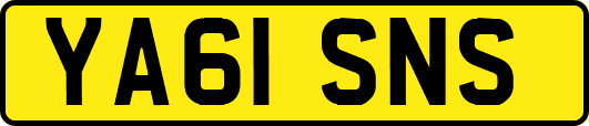 YA61SNS