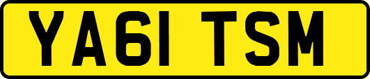 YA61TSM
