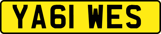 YA61WES