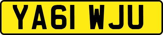 YA61WJU