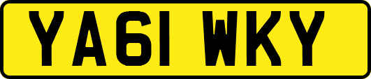 YA61WKY
