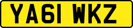 YA61WKZ