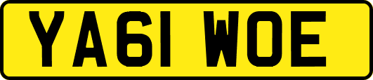 YA61WOE