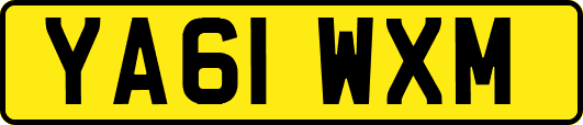 YA61WXM