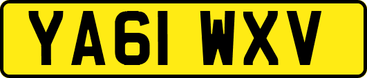 YA61WXV