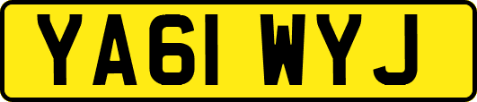 YA61WYJ