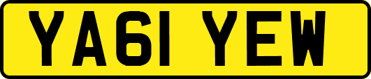 YA61YEW
