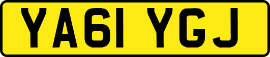 YA61YGJ