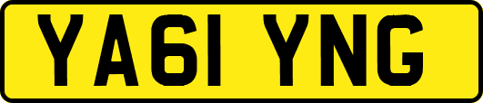 YA61YNG