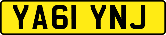 YA61YNJ