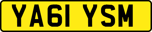 YA61YSM