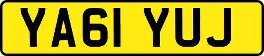 YA61YUJ