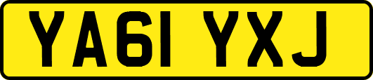 YA61YXJ