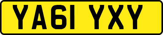 YA61YXY