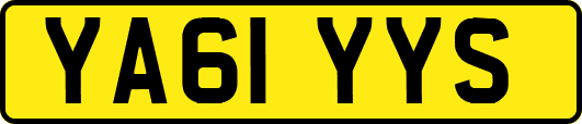 YA61YYS