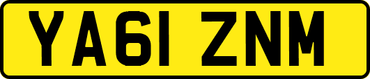 YA61ZNM