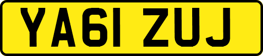YA61ZUJ
