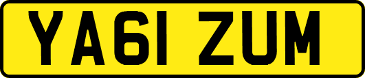 YA61ZUM