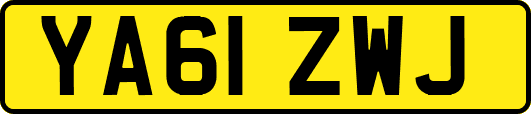 YA61ZWJ