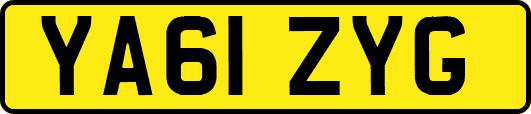 YA61ZYG