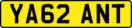 YA62ANT