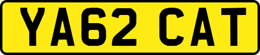 YA62CAT