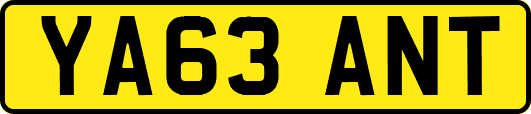 YA63ANT