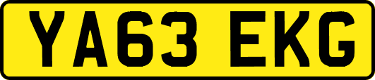 YA63EKG