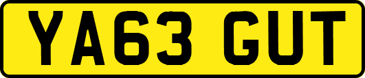 YA63GUT