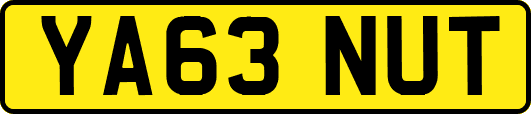 YA63NUT