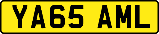 YA65AML