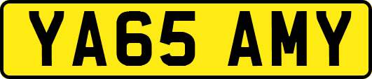 YA65AMY