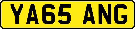 YA65ANG